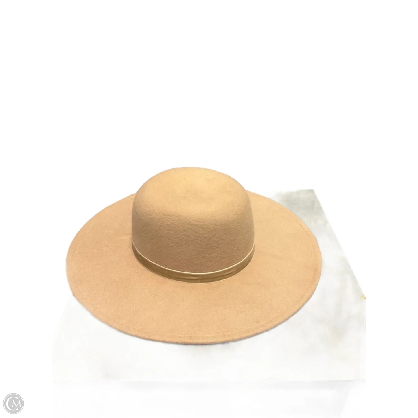 Hat Fedora By A New Day