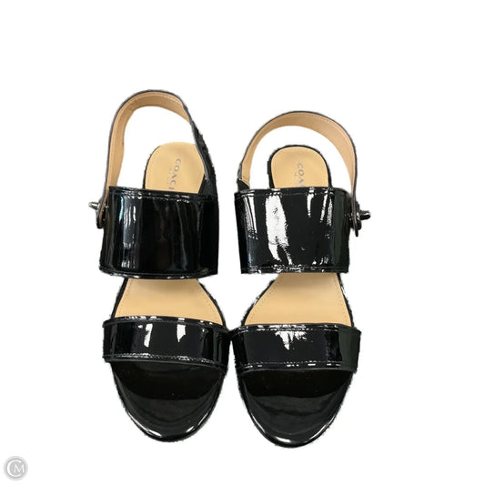 Scarf Designer By Coach