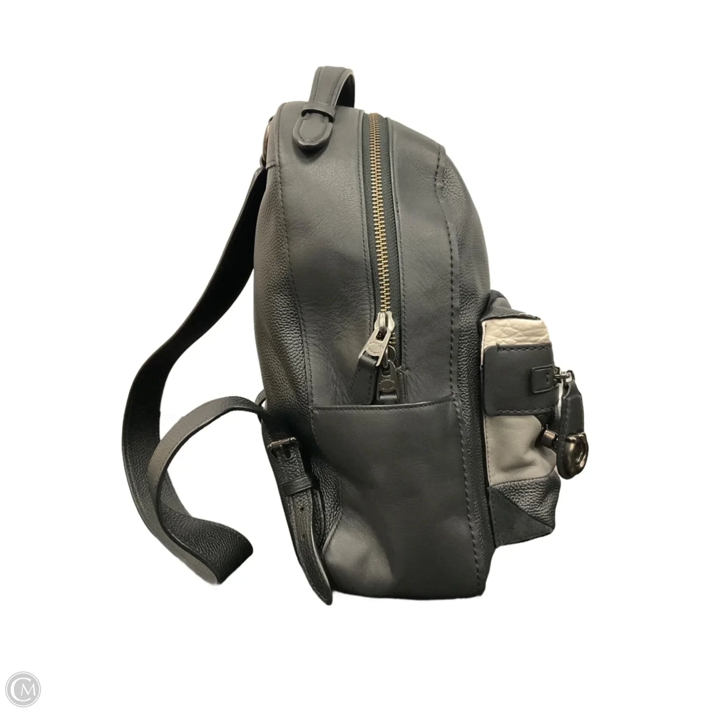 Backpack Designer By Coach, Size: Large