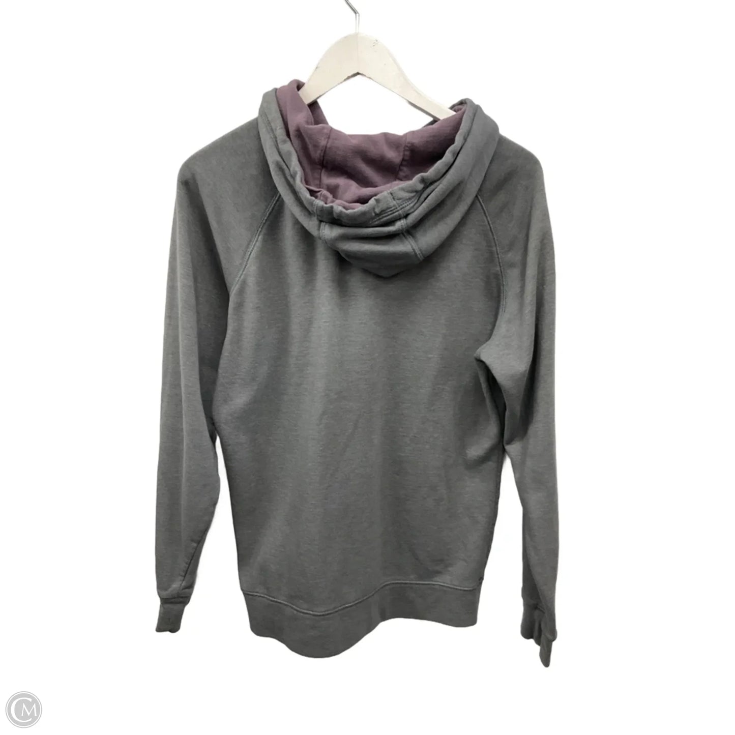 Athletic Sweatshirt Hoodie By The North Face In Grey, Size: Xl