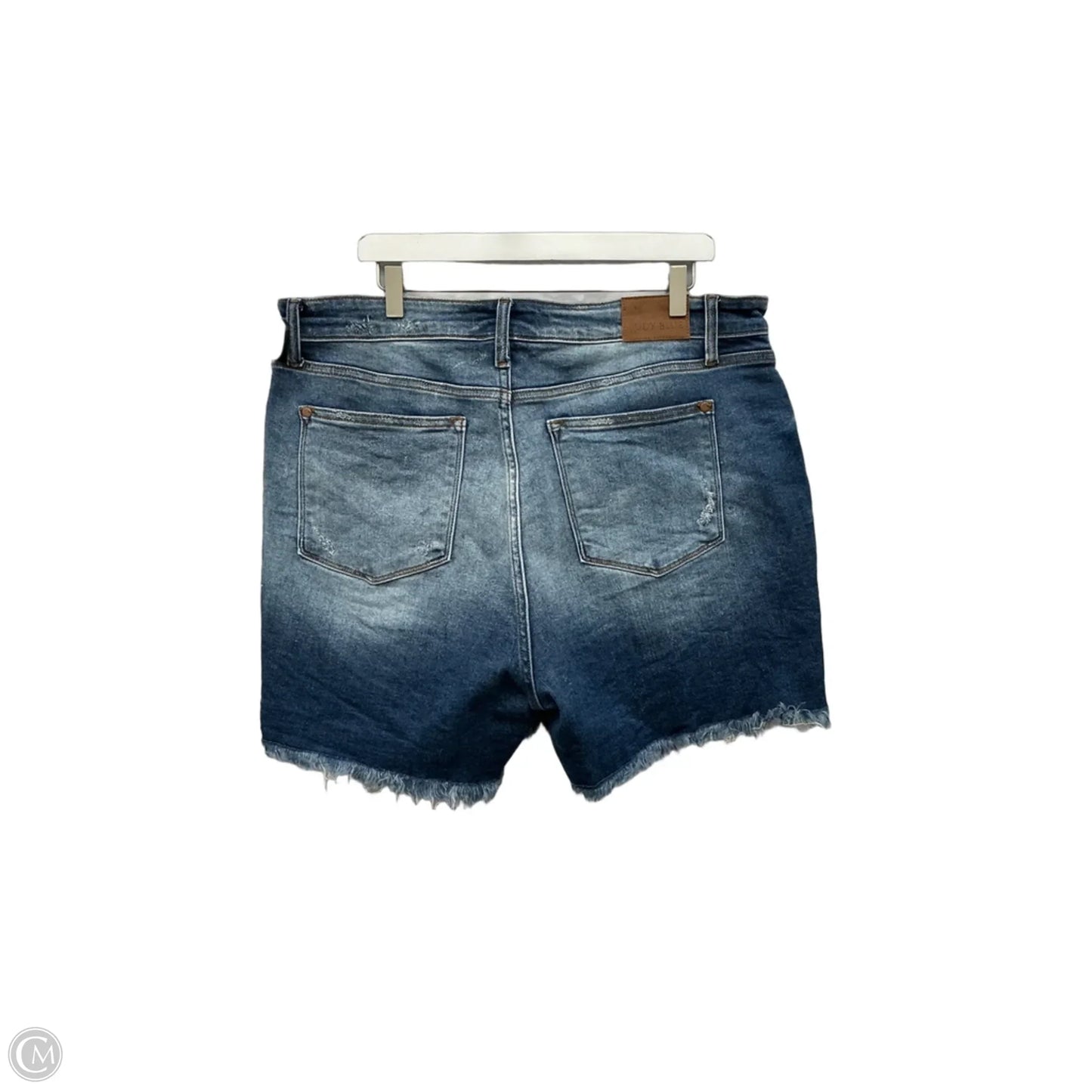 Shorts By Judy Blue In Blue Denim, Size: 3x