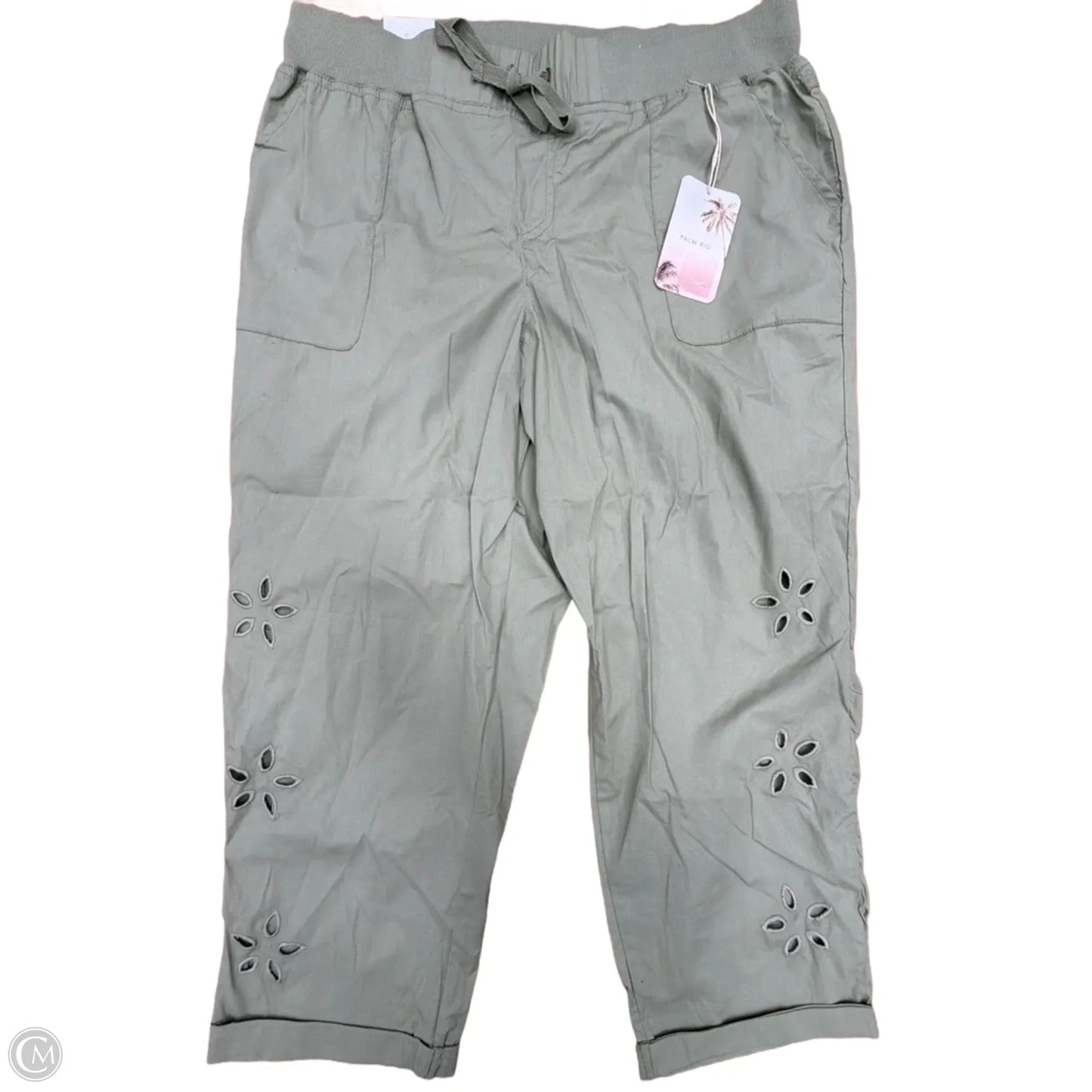 Pants Cargo & Utility By Clothes Mentor In Green, Size: 18