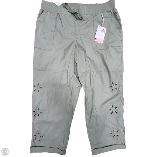Pants Cargo & Utility By Clothes Mentor In Green, Size: 18