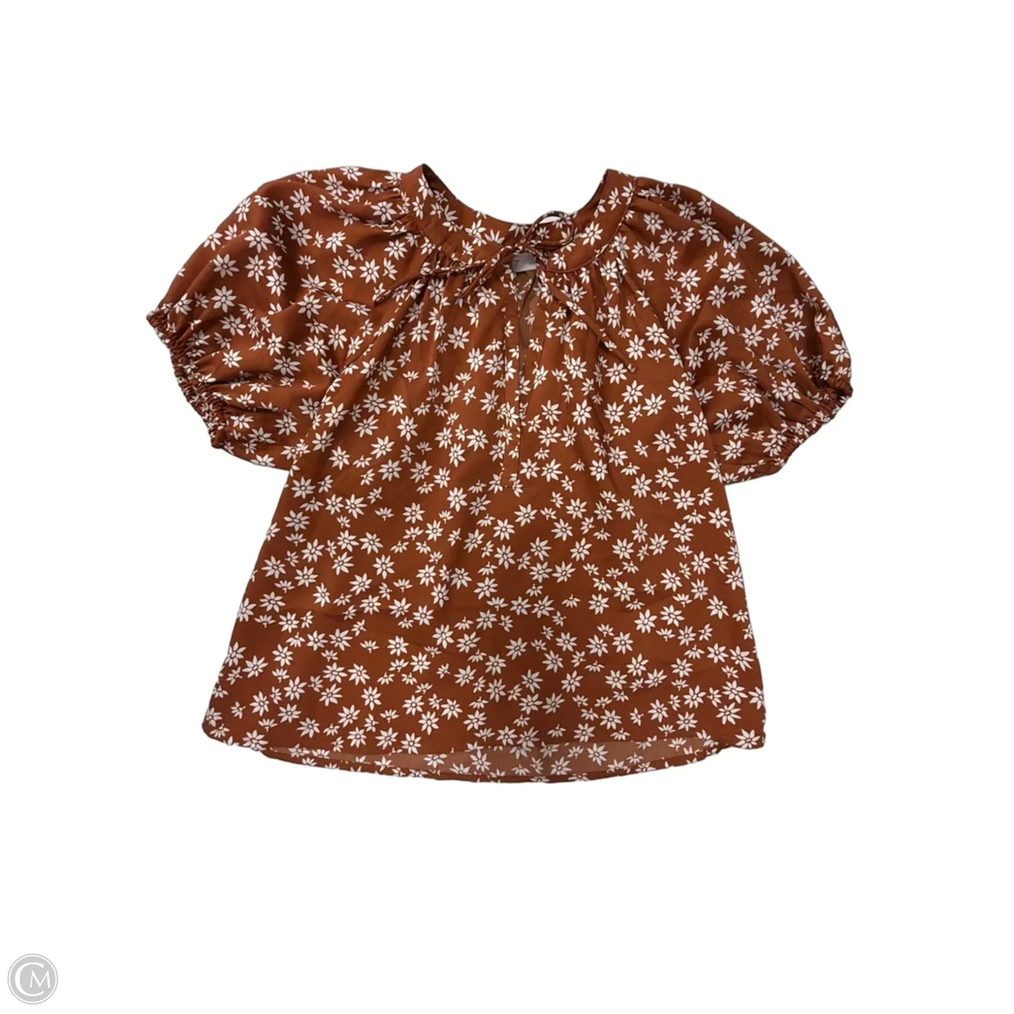 Top Short Sleeve By Loft In Brown & White, Size: Xxs