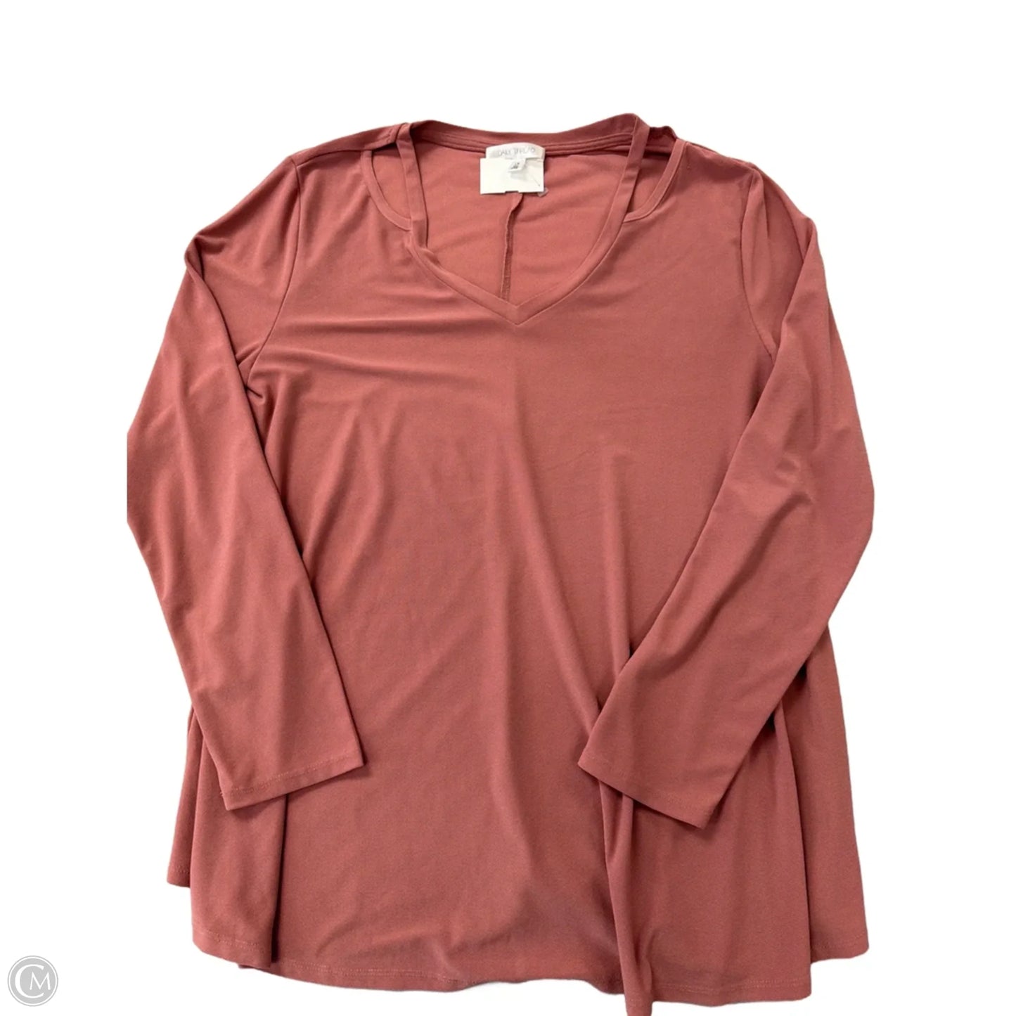 Top Long Sleeve By Daily Thread In Pink, Size: L
