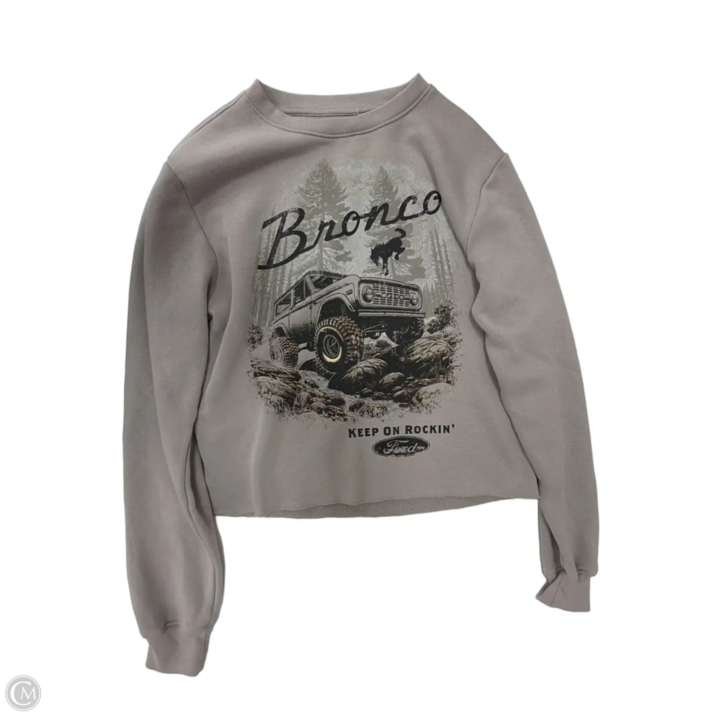 Sweatshirt Crewneck By Clothes Mentor In Grey, Size: S