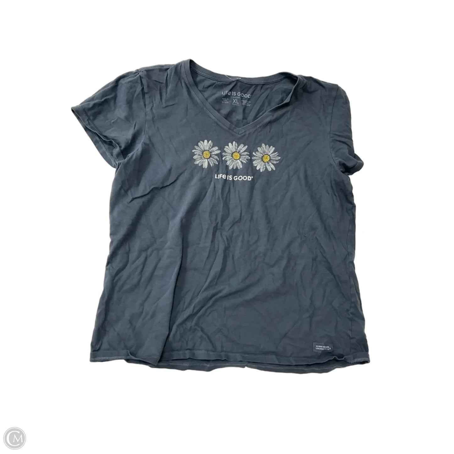 Top Short Sleeve By Life Is Good In Blue, Size: Xl