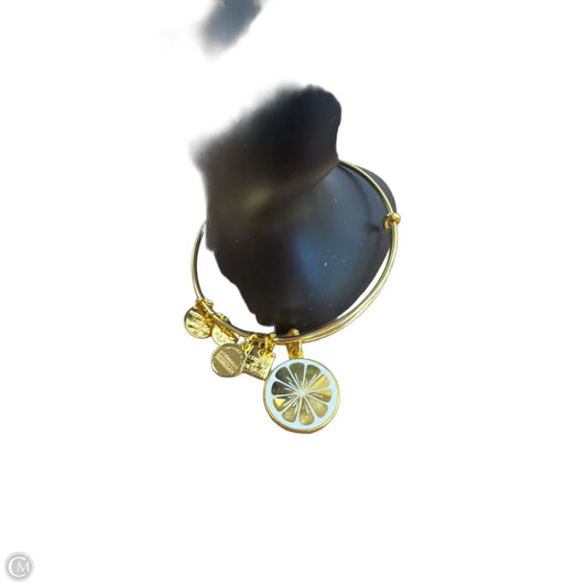 Bracelet Charm By Alex And Ani