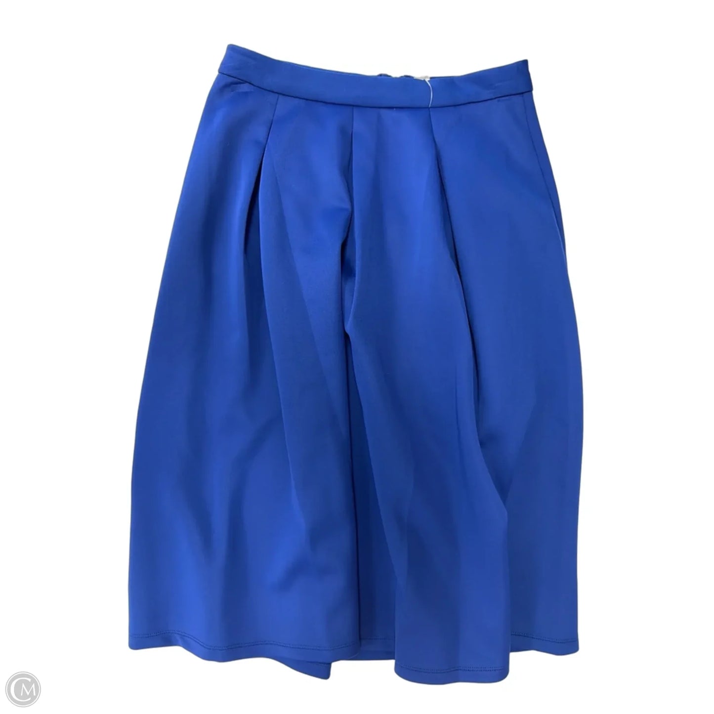 Skirt Midi By Chelsea And Theodore In Blue, Size: S