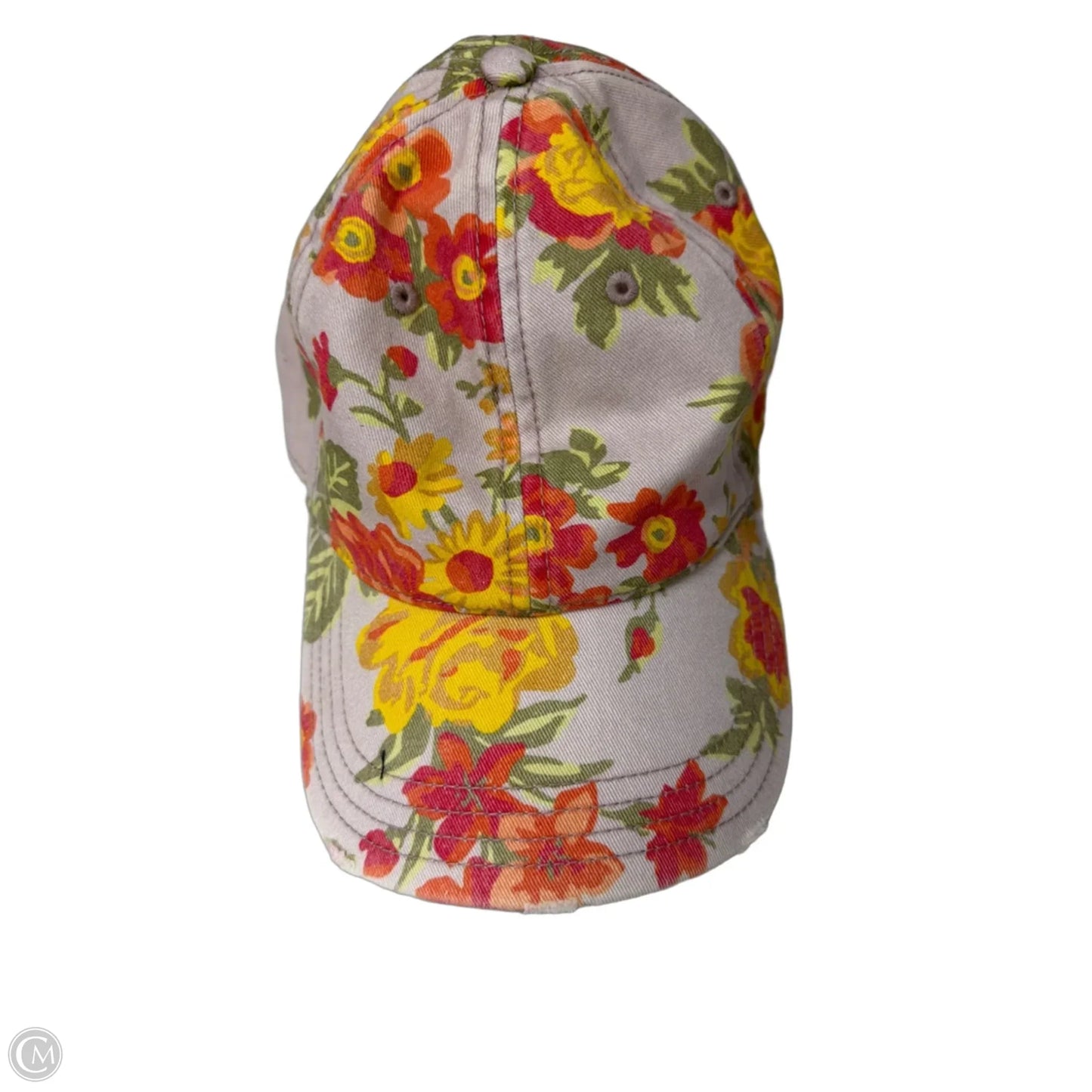 Hat Baseball Cap By Aerie