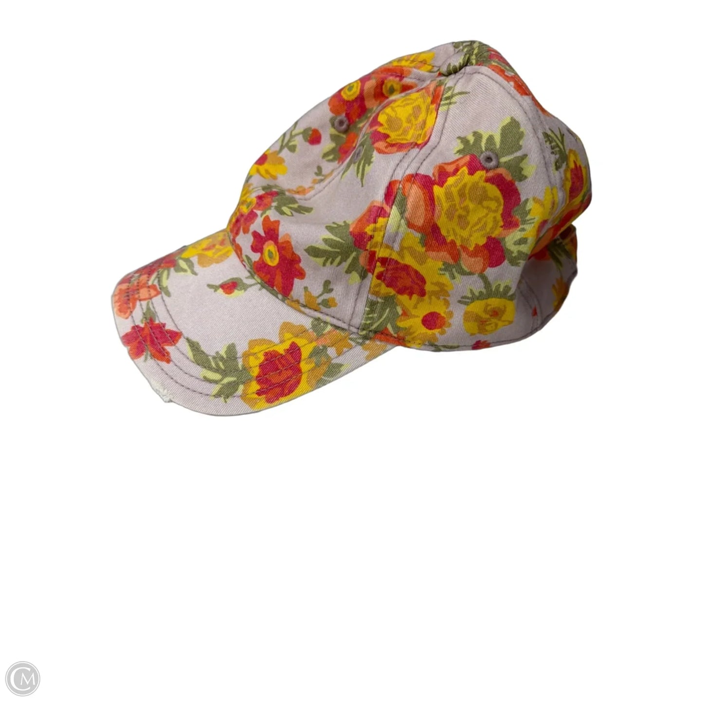 Hat Baseball Cap By Aerie
