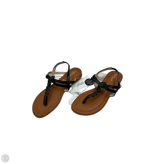 Sandals Flats By Capelli In Black, Size: 6
