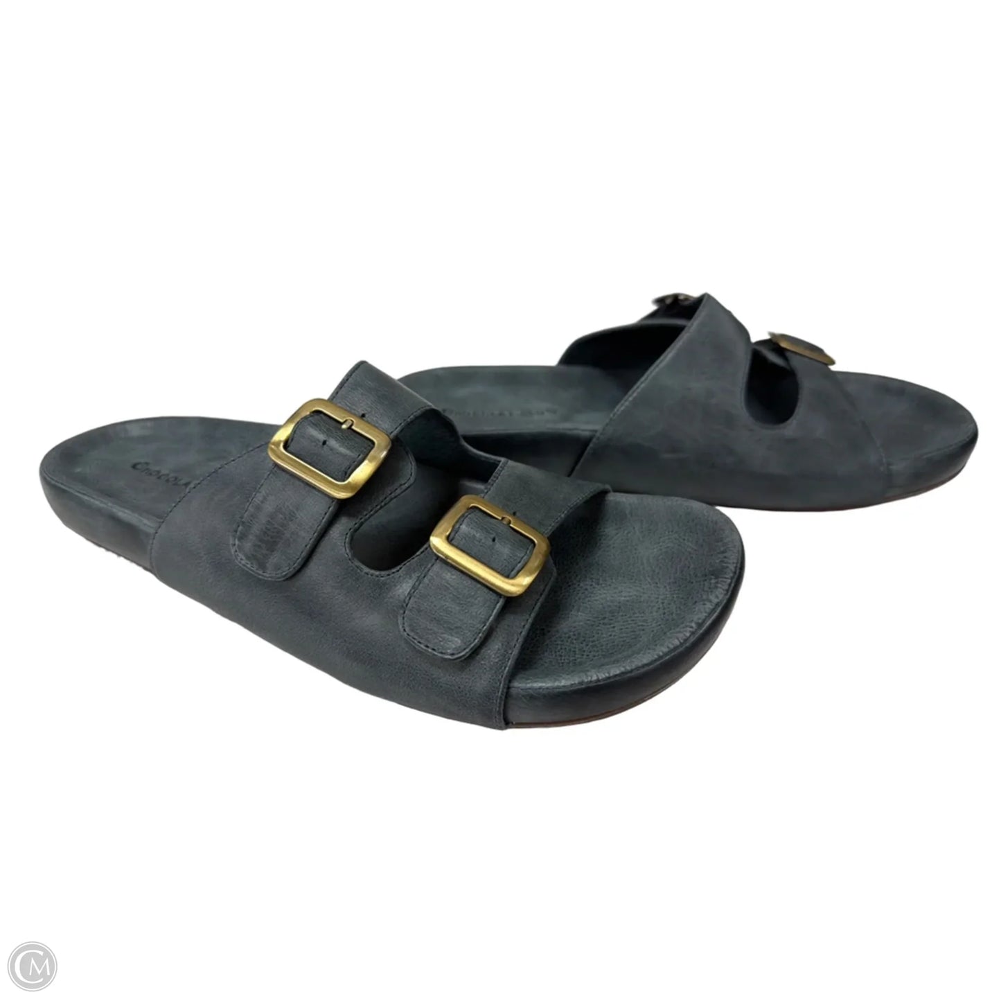 Sandals Flats By Clothes Mentor In Blue, Size: 8