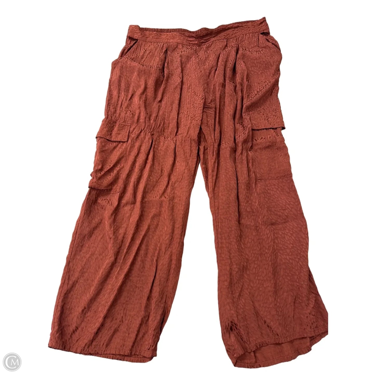 Pants Other By Terra & Sky In Brown, Size: 2x