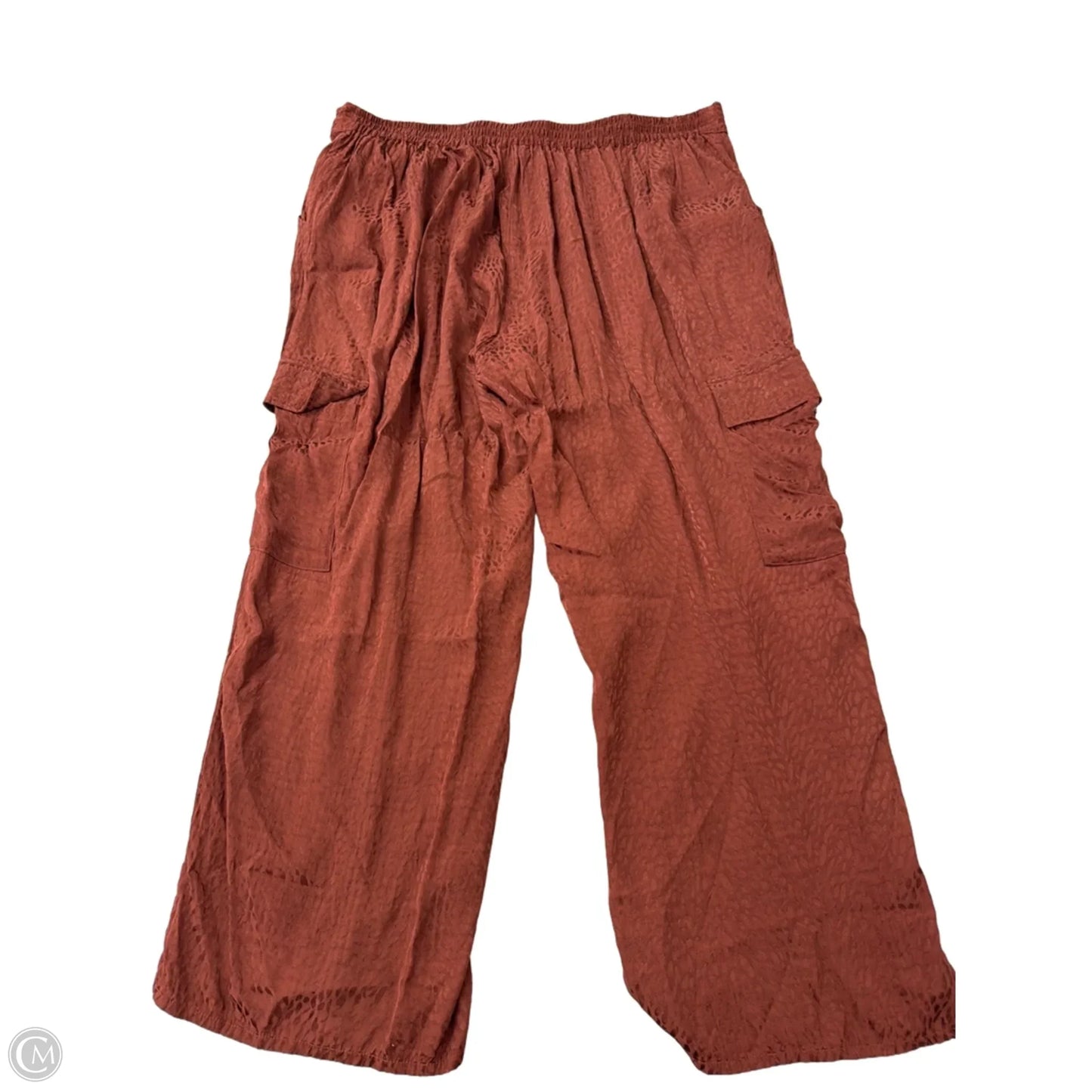 Pants Other By Terra & Sky In Brown, Size: 2x