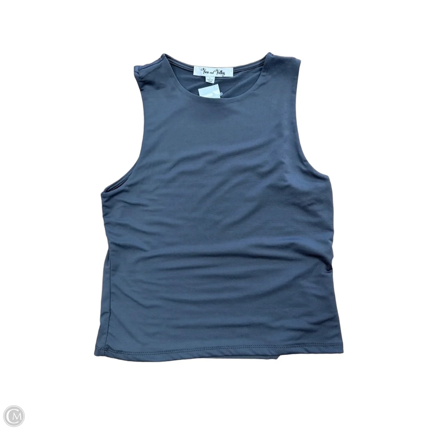 Top Sleeveless By Clothes Mentor In Grey, Size: L