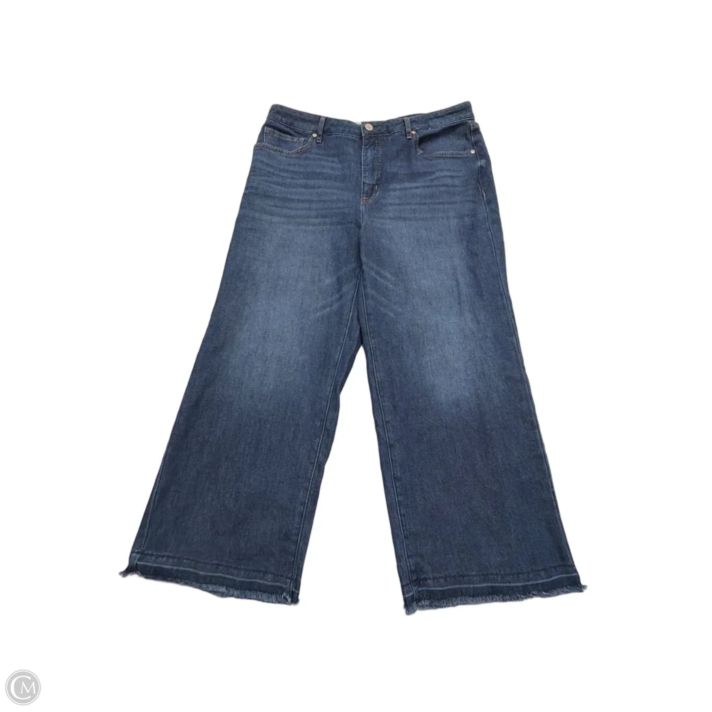 Jeans Wide Leg By Clothes Mentor In Blue Denim, Size: 10