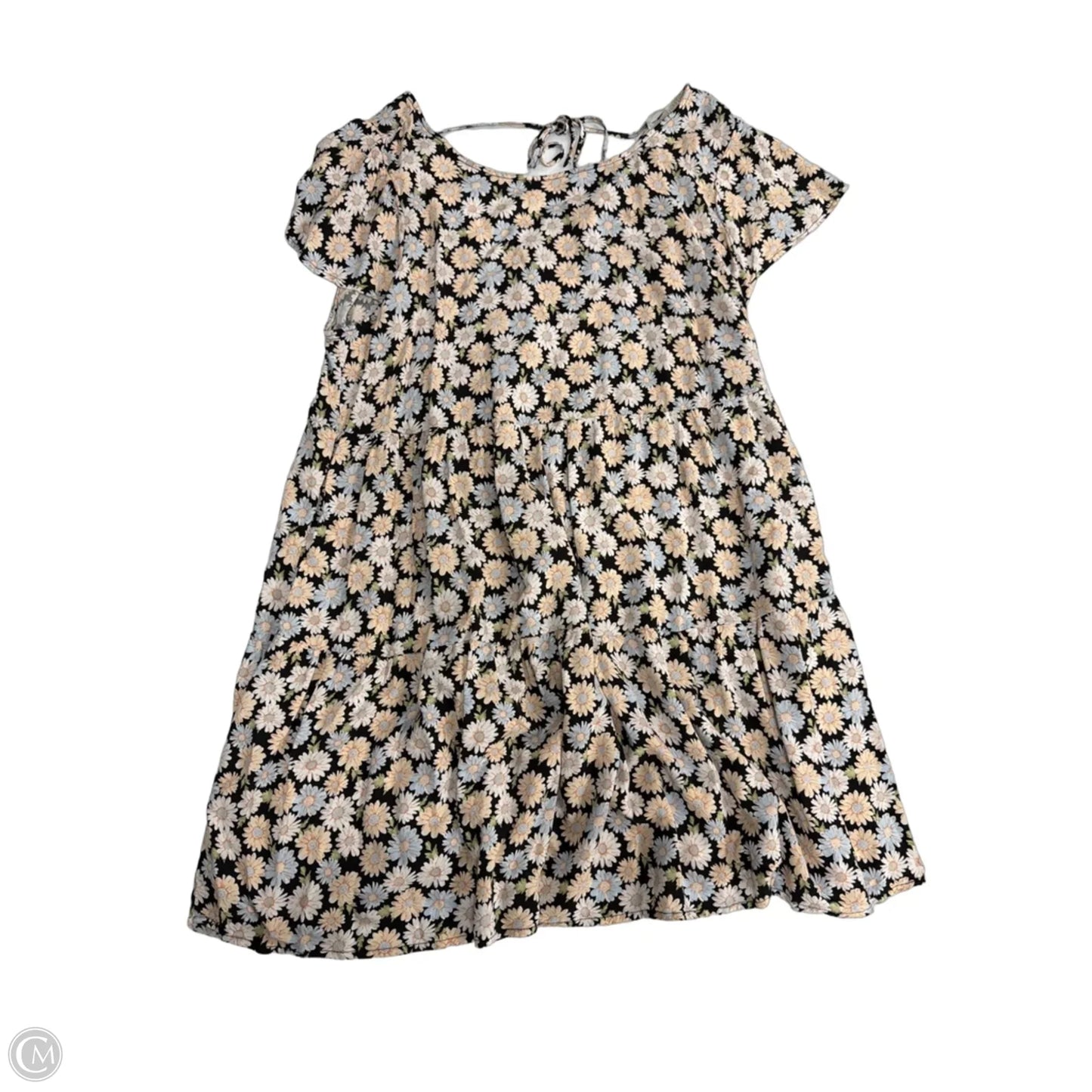 Dress Casual Short By Clothes Mentor In Floral Print, Size: 2x