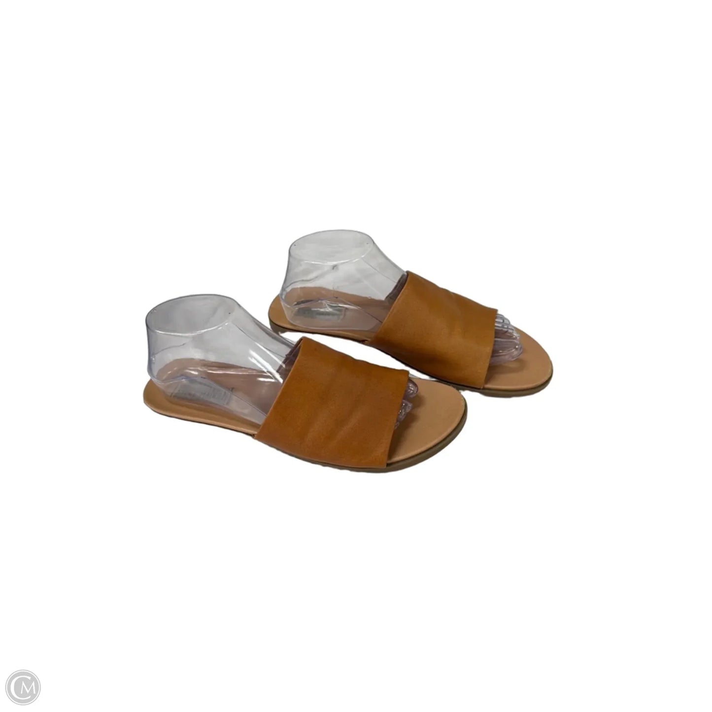 Sandals Flats By Steve Madden In Brown, Size: 10