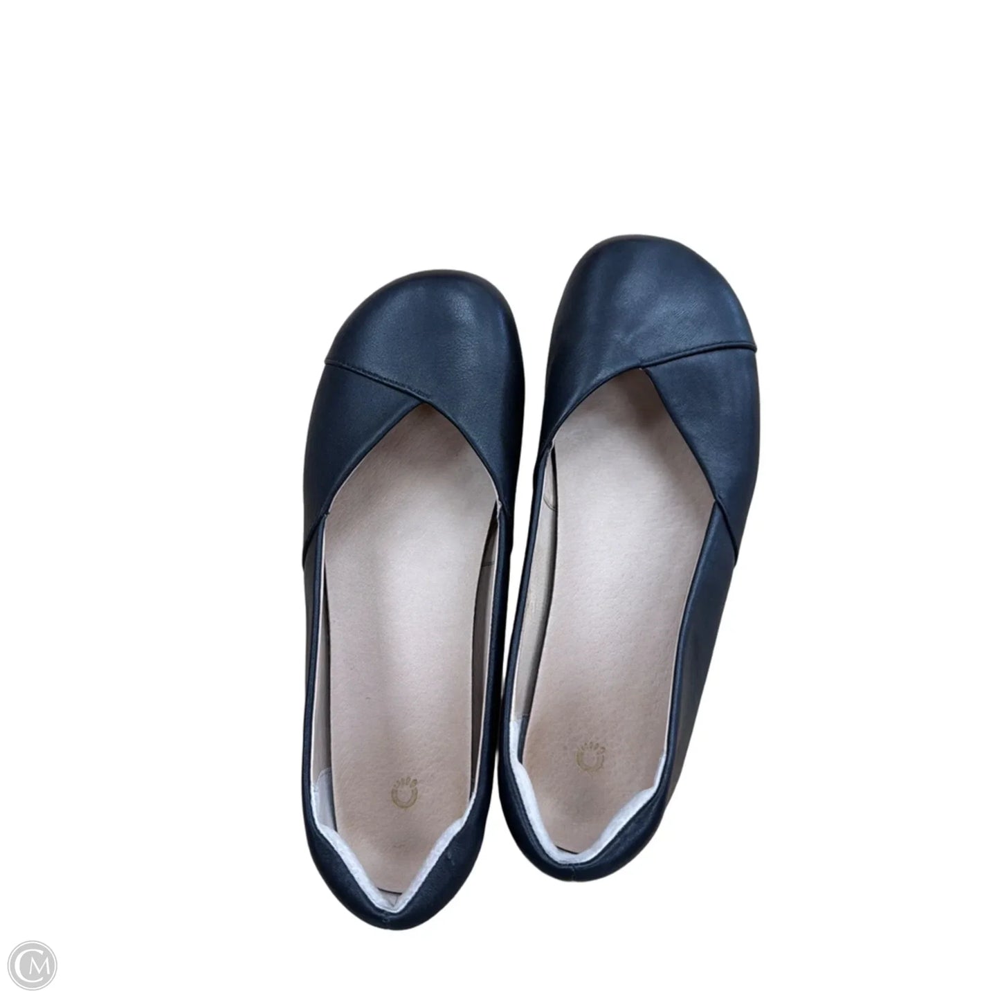Shoes Flats By Clothes Mentor In Black, Size: 9
