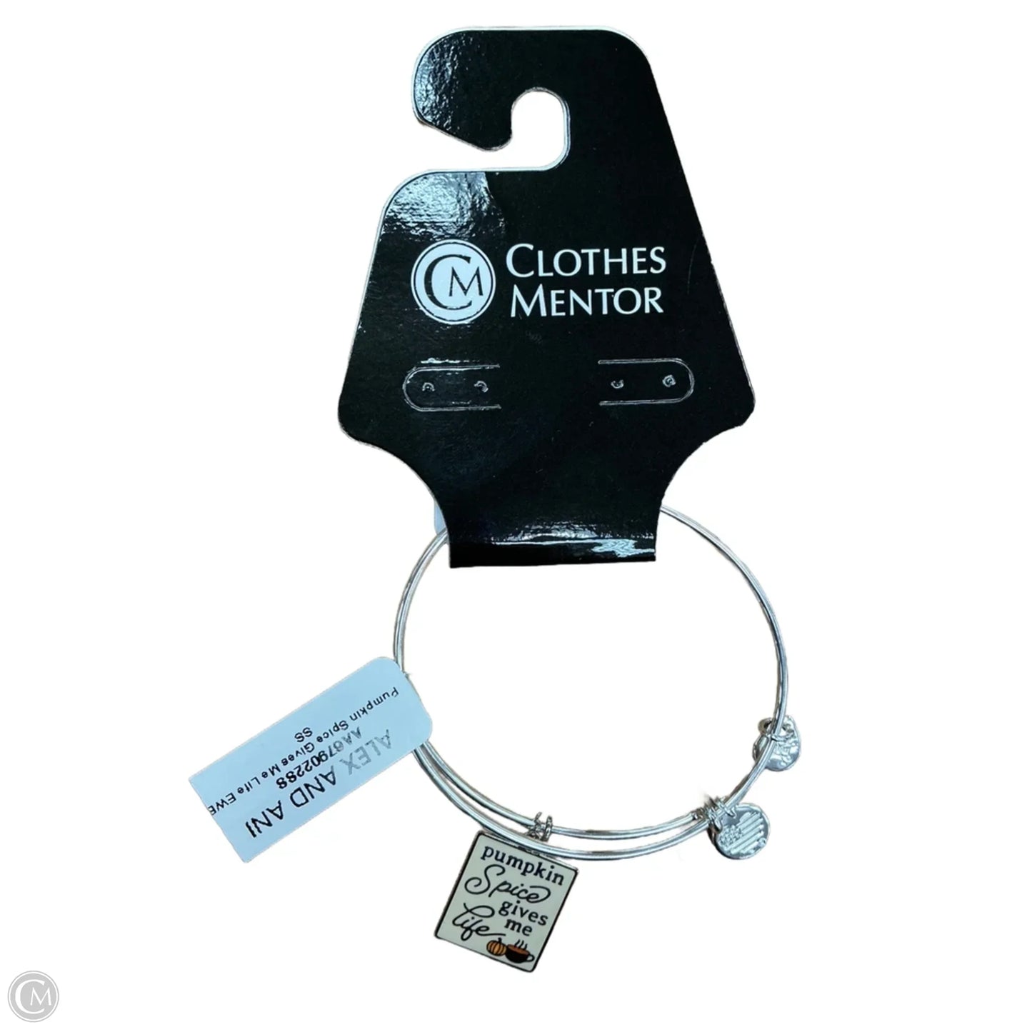 Bracelet Charm By Alex And Ani