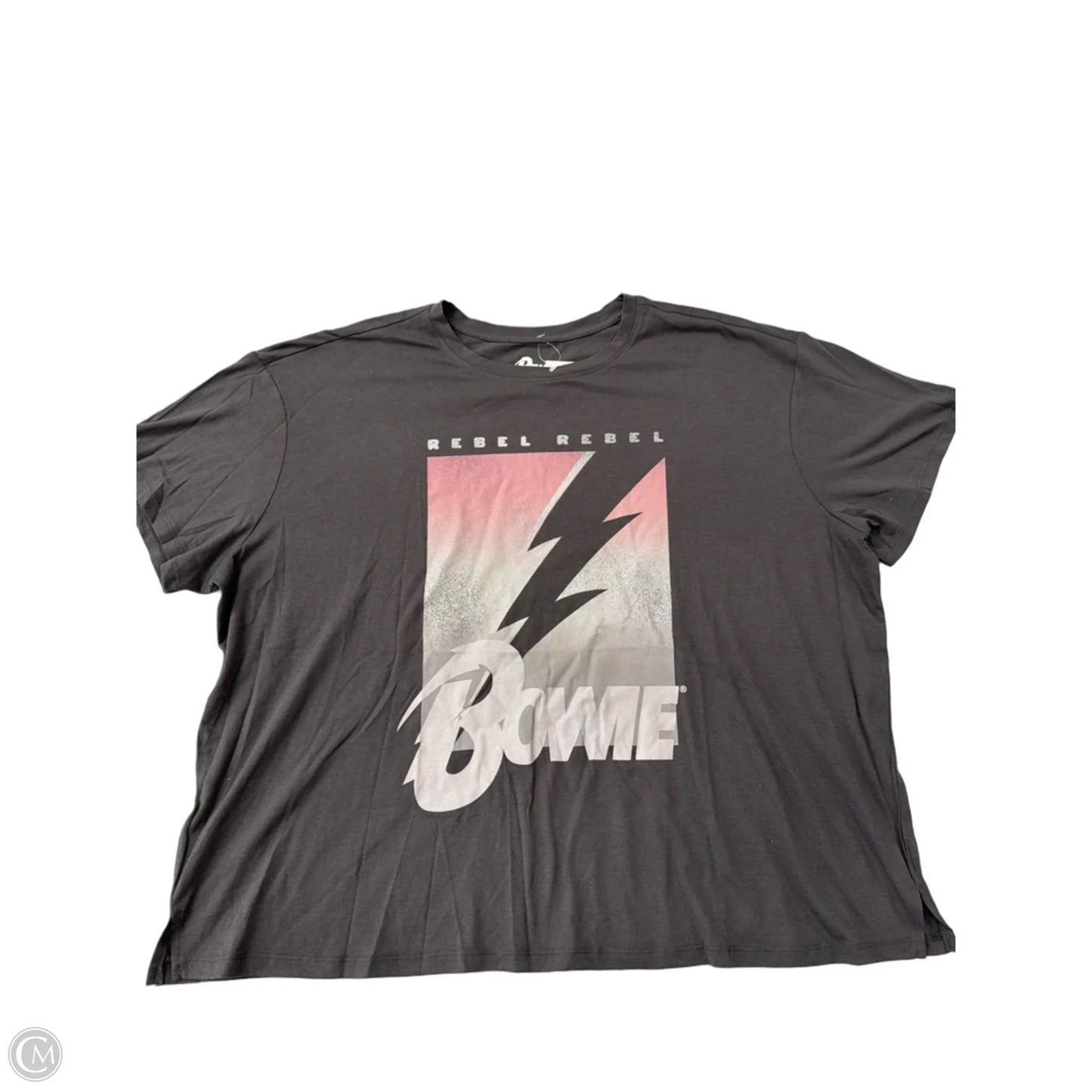 Top Short Sleeve By Clothes Mentor In Grey, Size: 1x