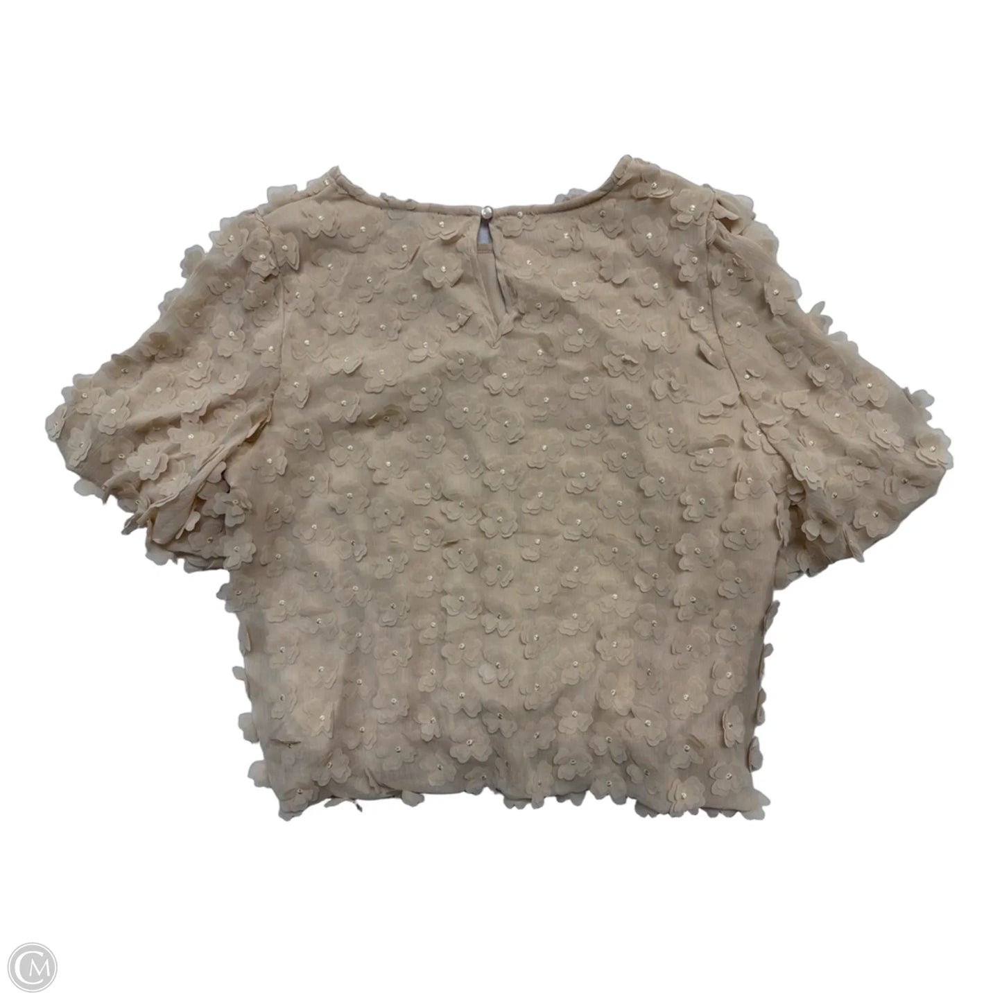 Top Short Sleeve By Adrianna Papell In Cream, Size: S