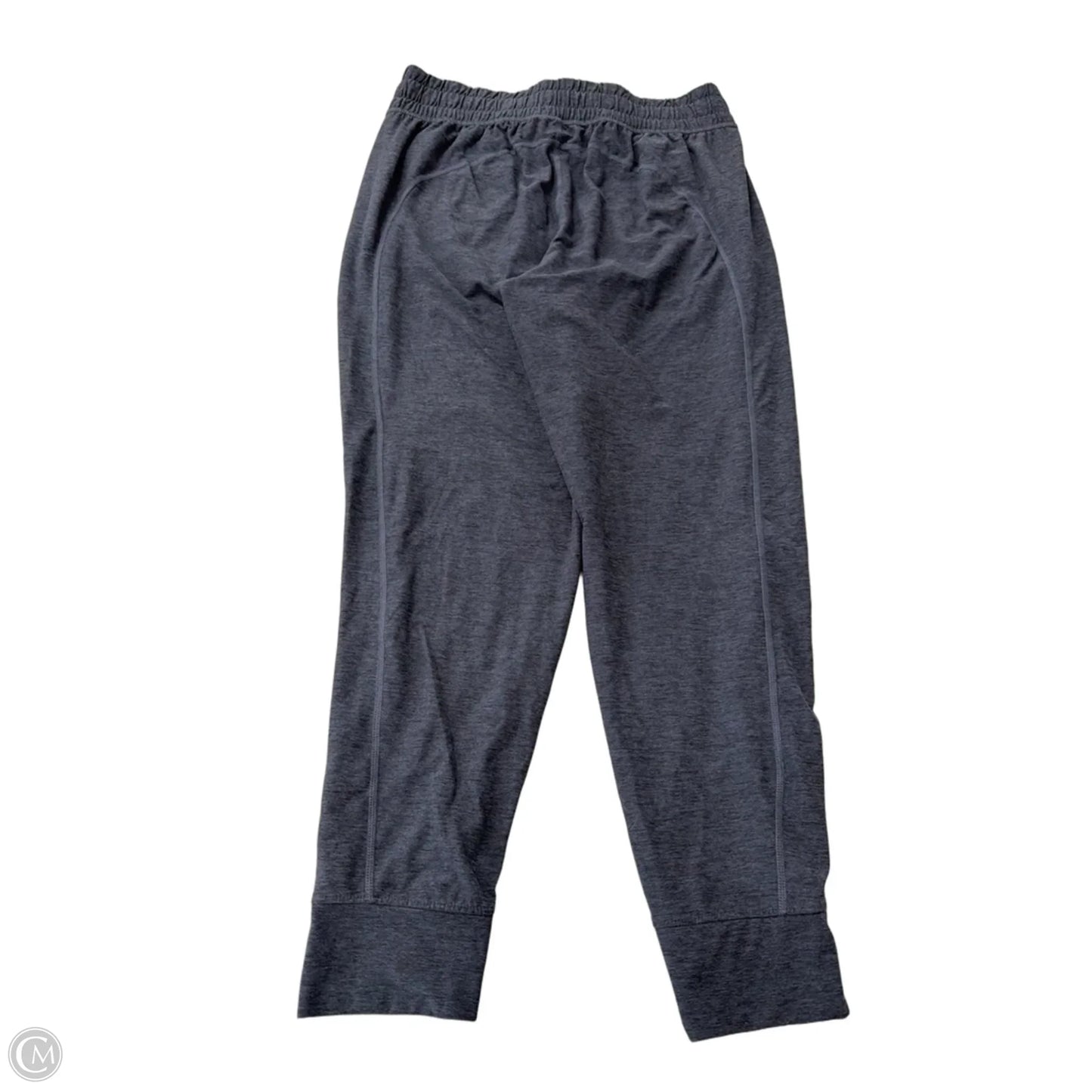 Athletic Pants By Flx In Blue, Size: M