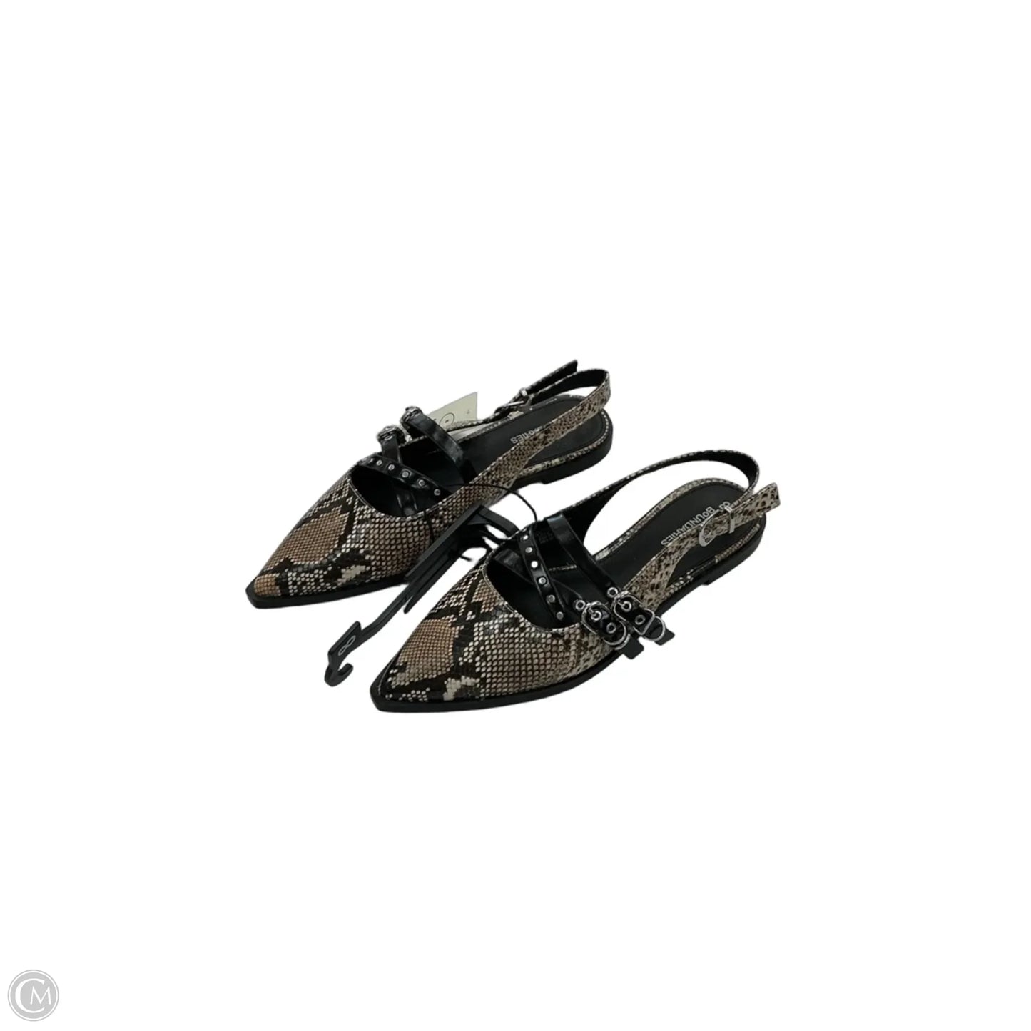 Shoes Flats By No Boundaries In Snakeskin Print, Size: 8