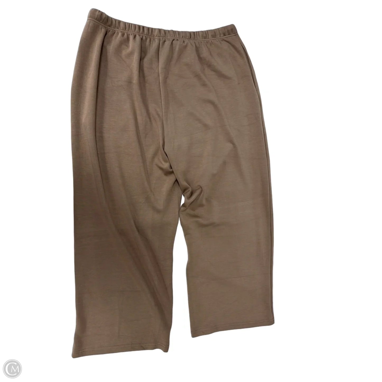 Pants Set 2pc By Clothes Mentor In Brown, Size: 3x