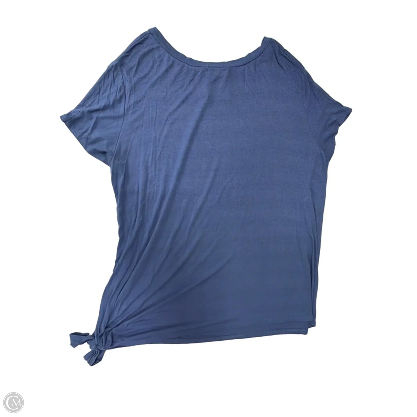 Top Short Sleeve By Thyme And Honey In Blue, Size: 3x