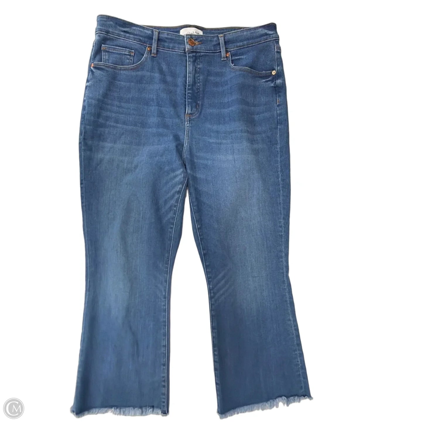 Jeans Flared By Loft In Blue Denim, Size: 14