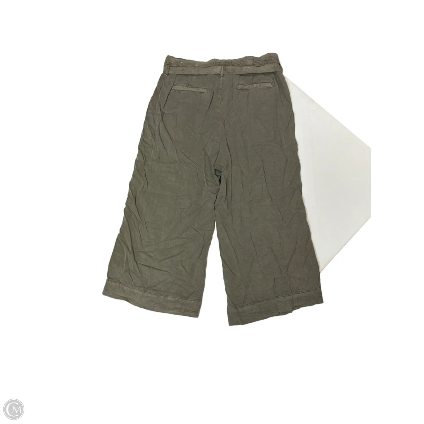 Pants Cargo & Utility By American Eagle In Green, Size: 16