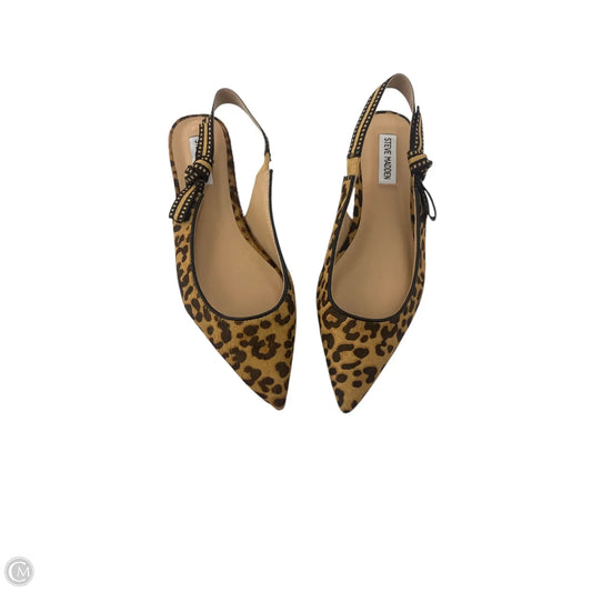 Shoes Flats By Steve Madden In Animal Print, Size: 8.5