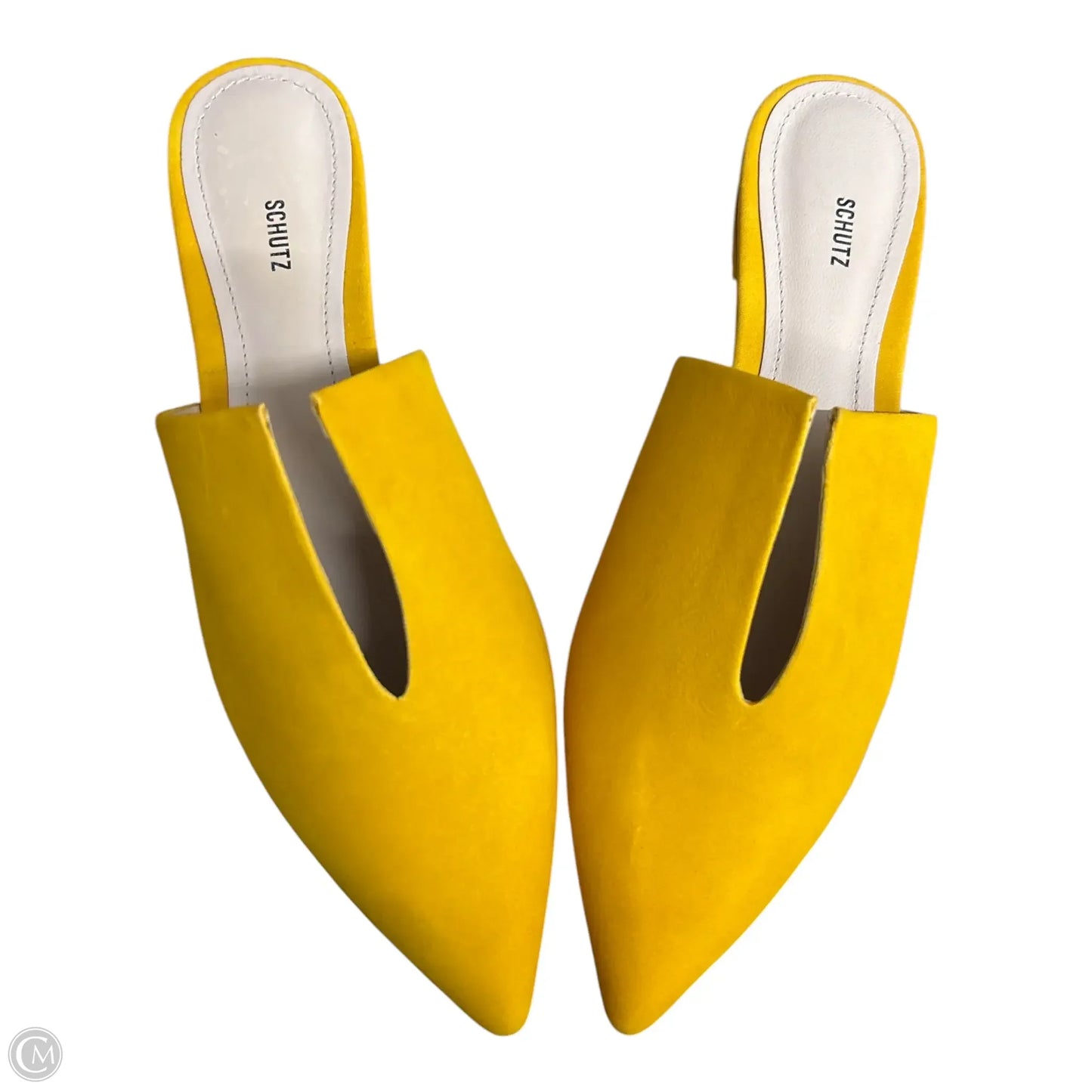 Shoes Flats By Schutz In Yellow, Size: 7