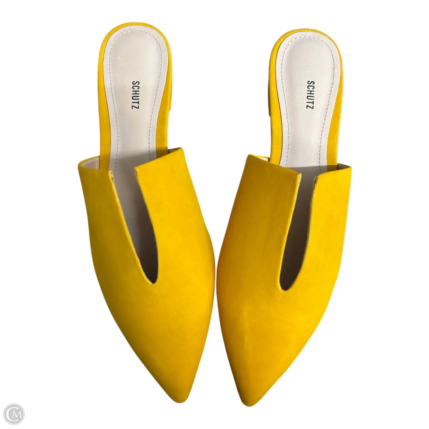 Shoes Flats By Schutz In Yellow, Size: 7