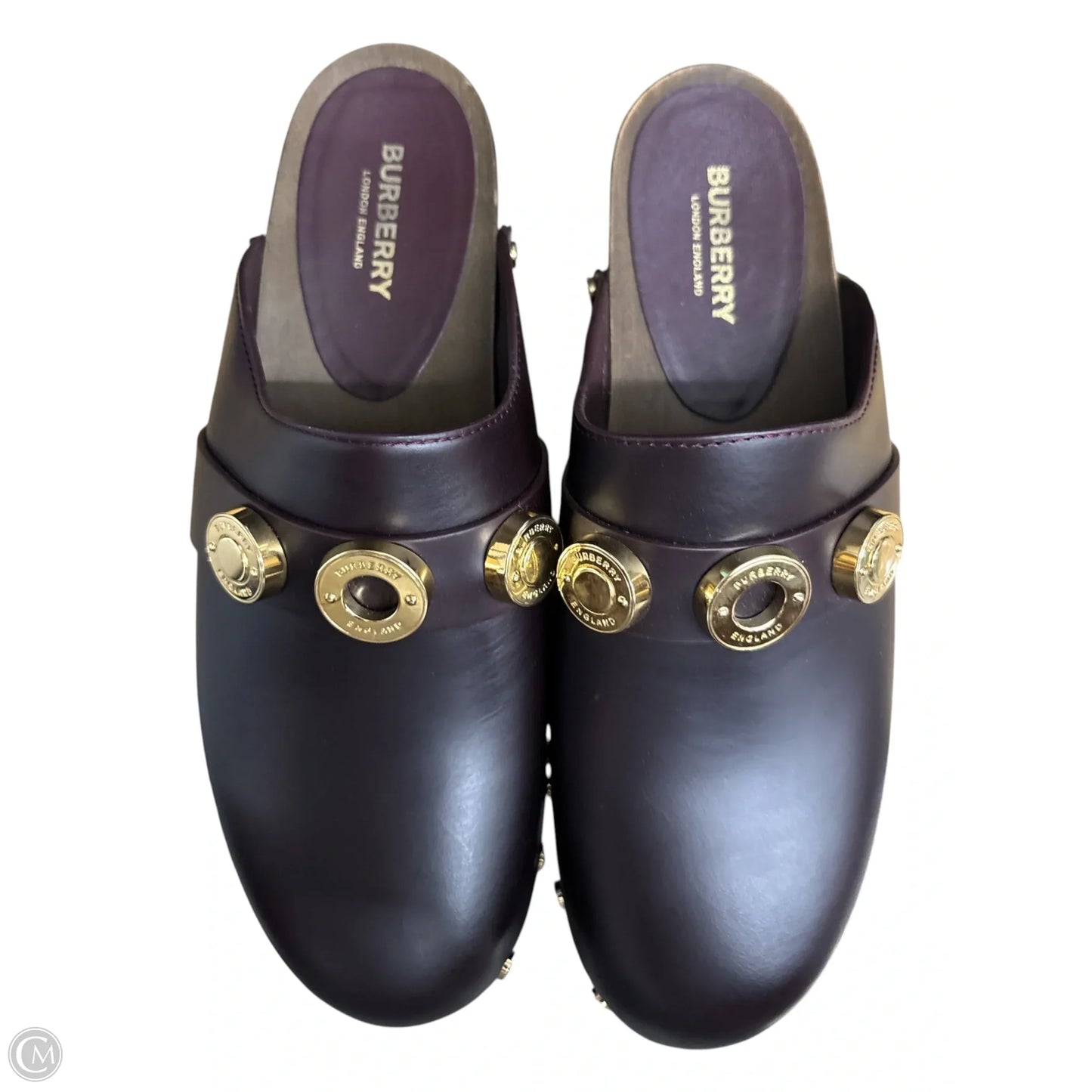 Shoes Luxury Designer By Burberry In Brown