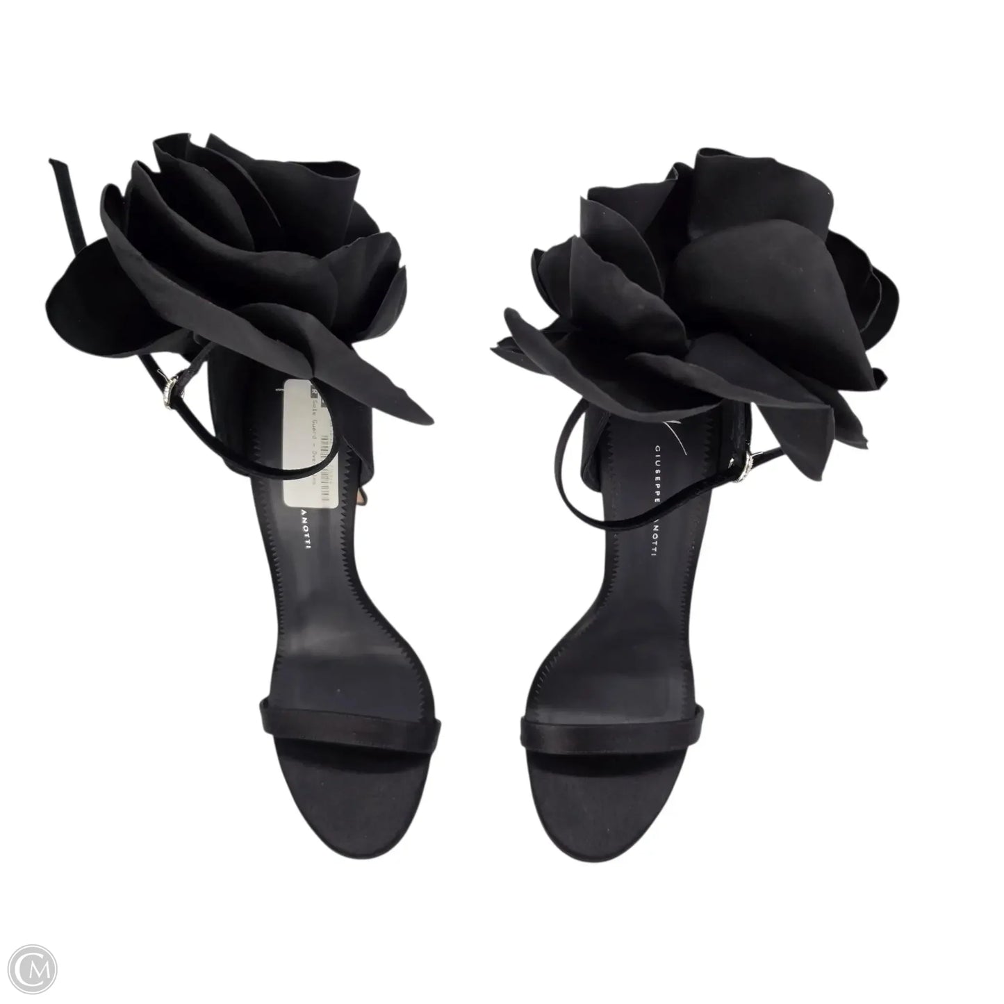 Shoes Designer By Giuseppe Zanotti In Black