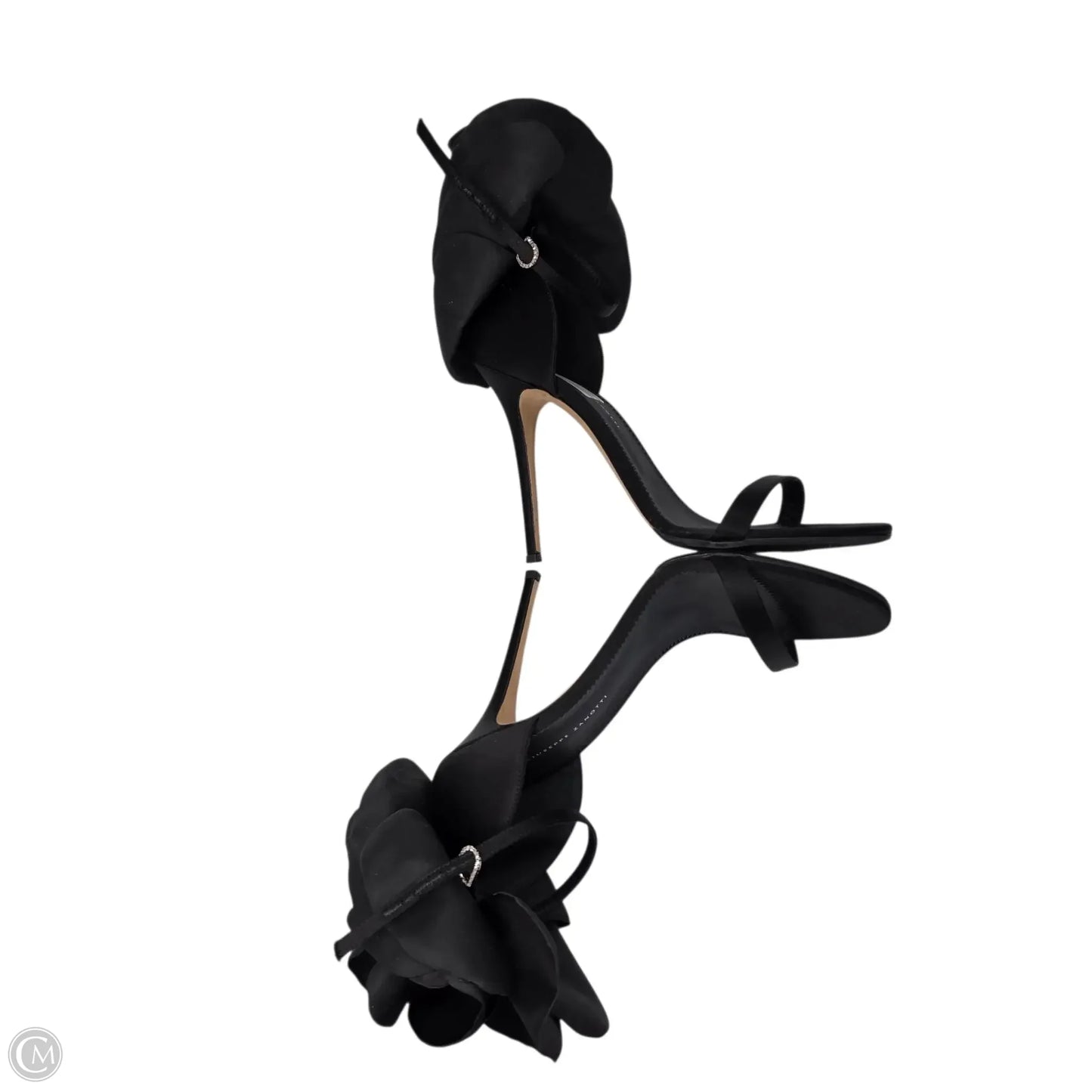 Shoes Designer By Giuseppe Zanotti In Black