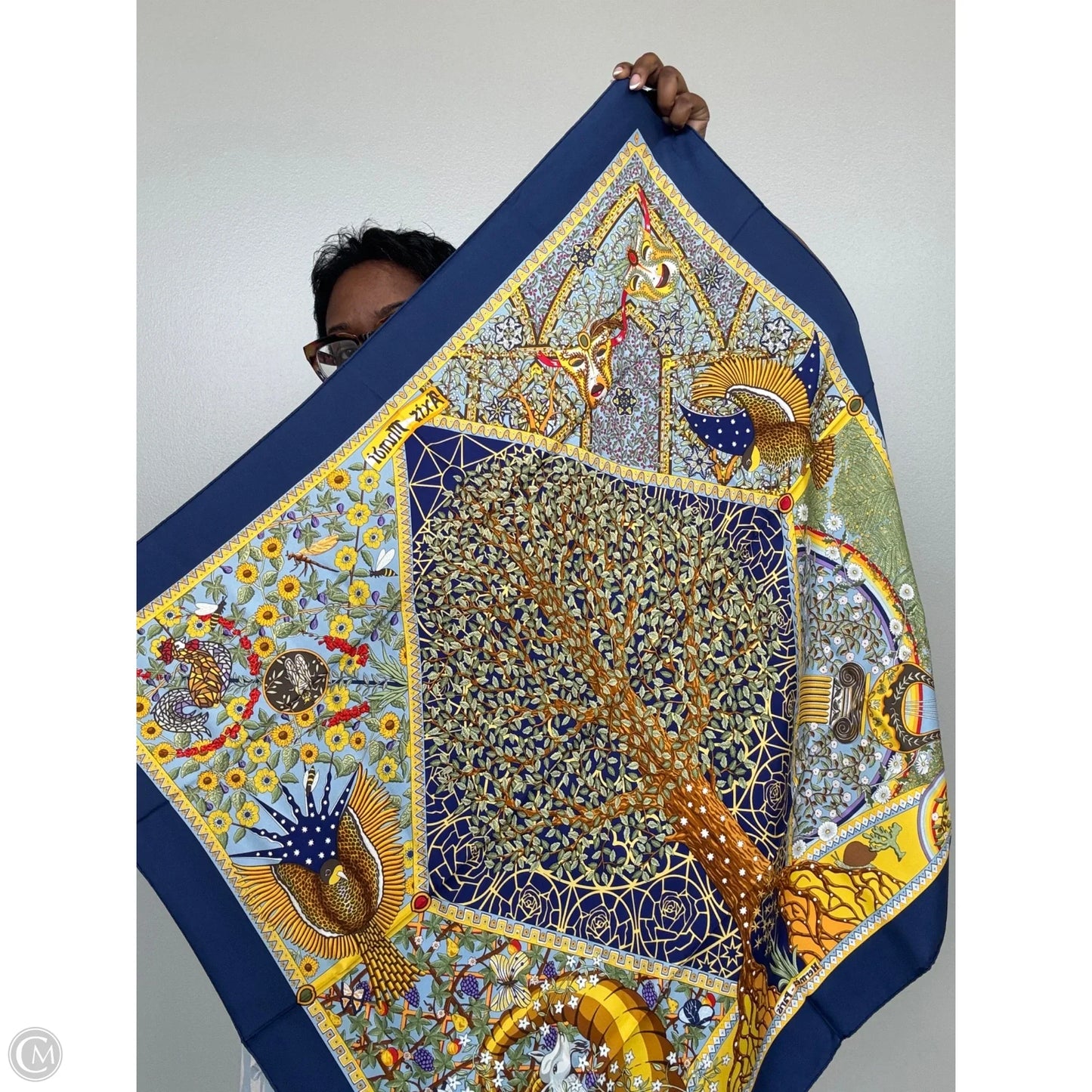 Scarf Luxury Designer By Hermes