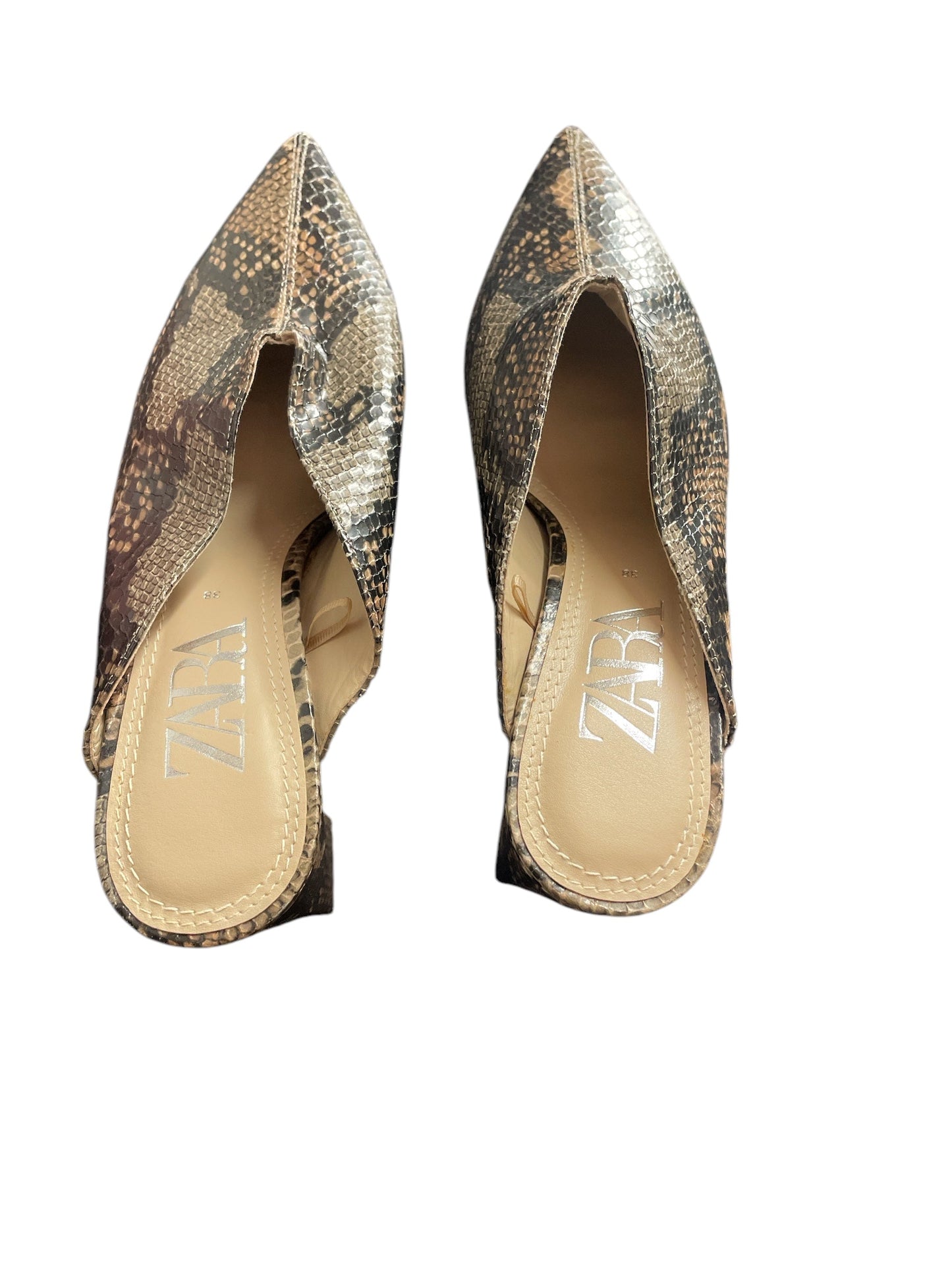 Shoes Heels Kitten By Zara In Snakeskin Print