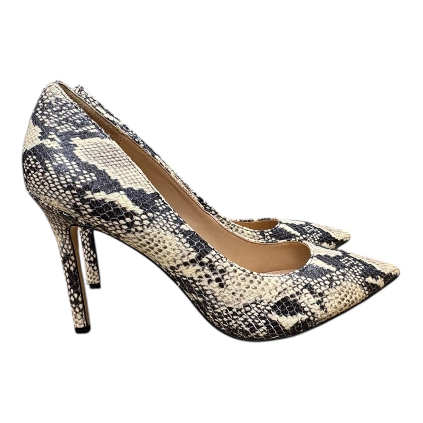 Shoes Heels Kitten By Sam Edelman In Snakeskin Print, Size:10