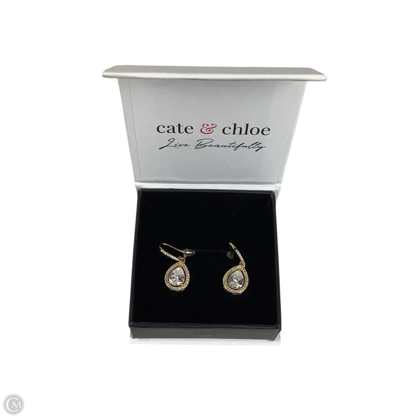 Earrings Dangle/drop By Clothes Mentor