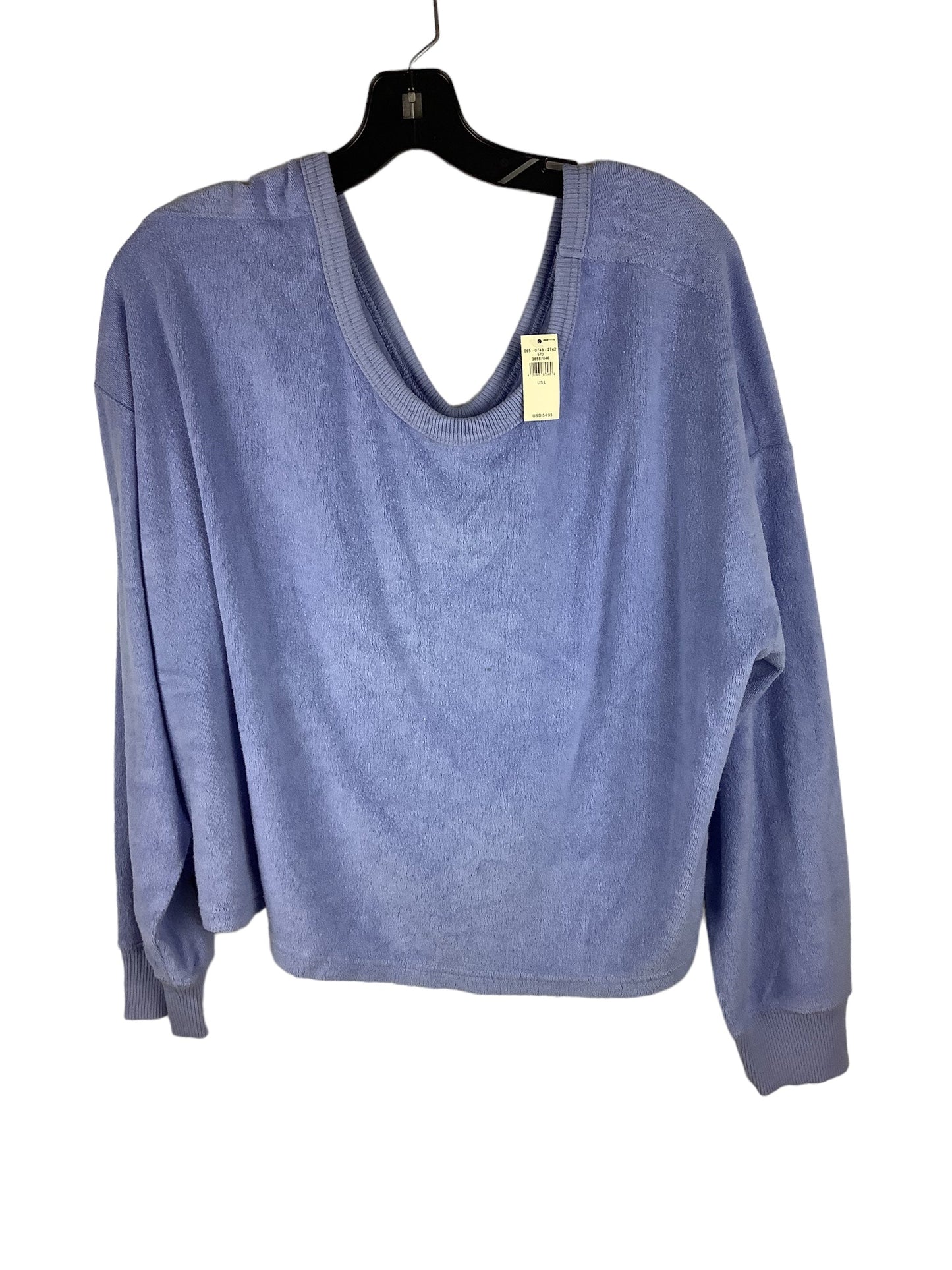 Sweatshirt Crewneck By Aerie In Blue, Size: L