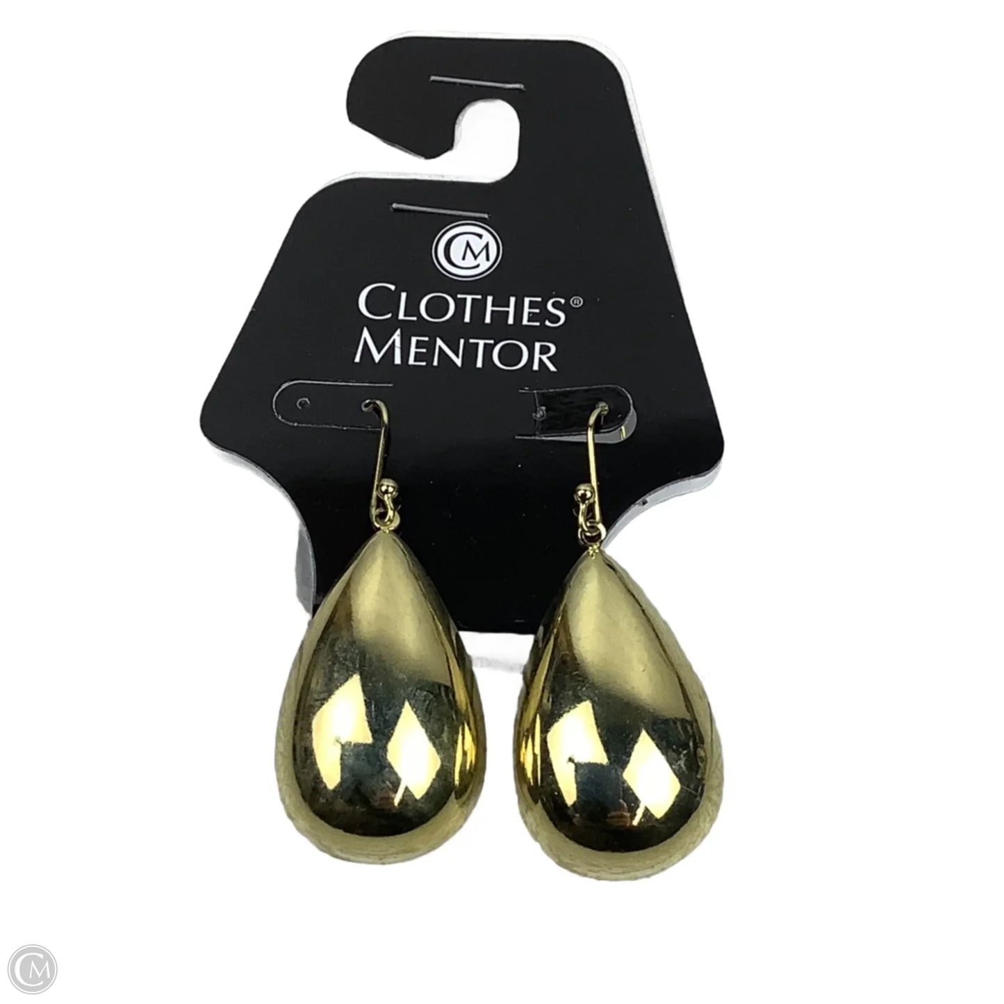 Earrings Dangle/drop By Clothes Mentor