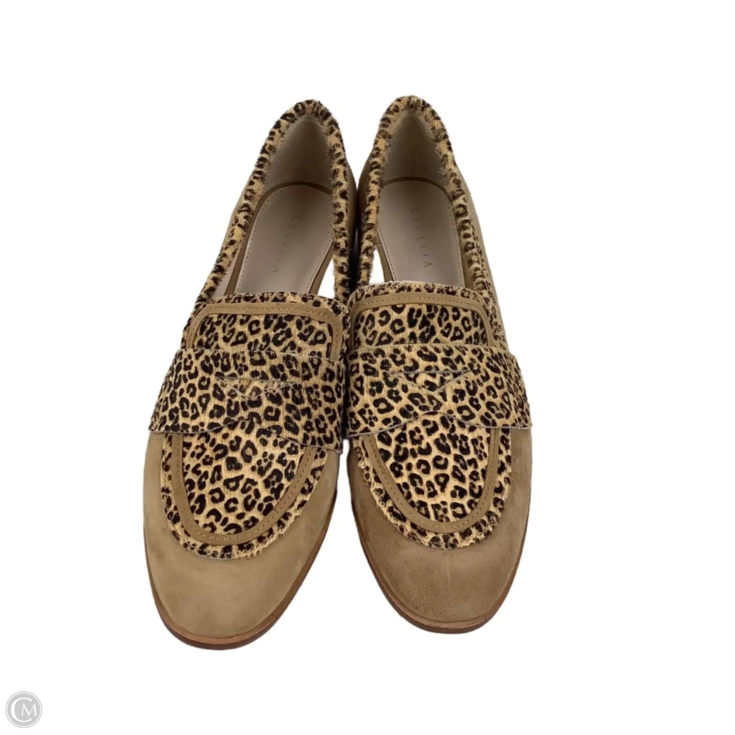 Shoes Flats By Cmb In Animal Print, Size: 8