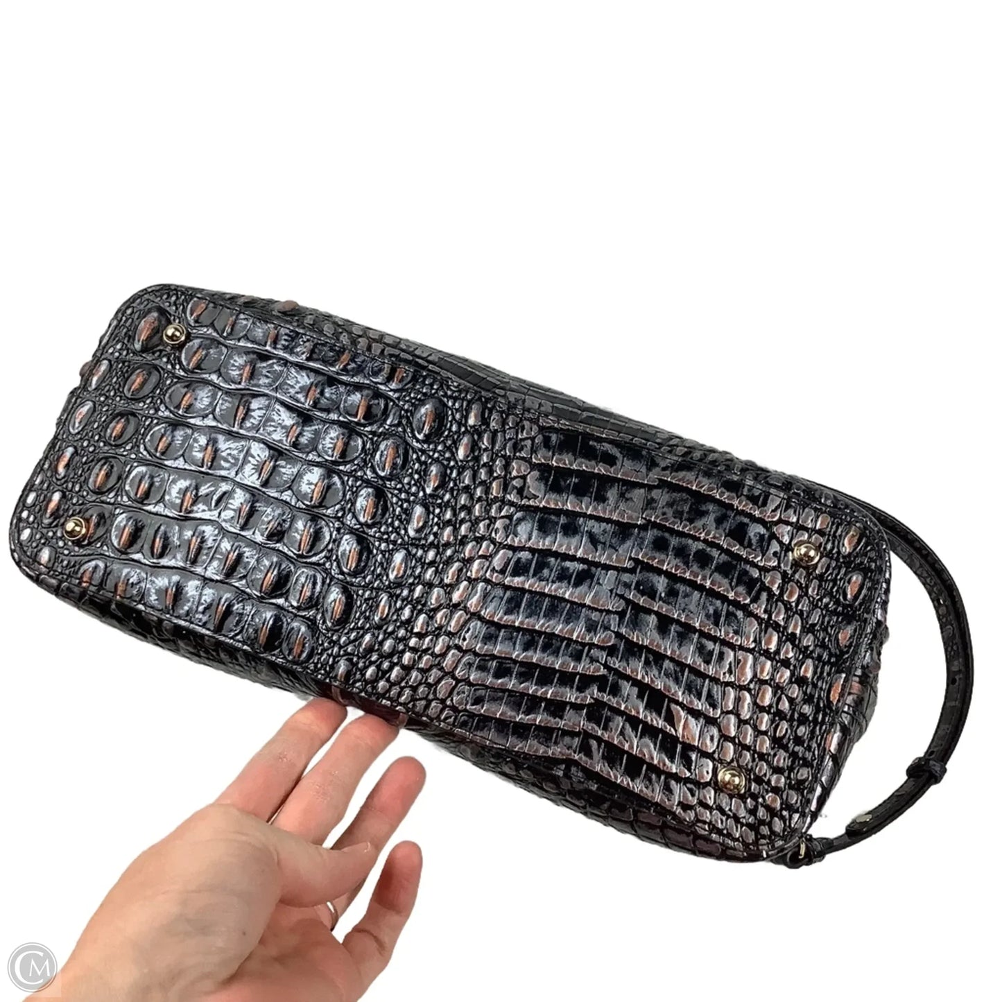 Handbag Designer By Brahmin, Size: Medium