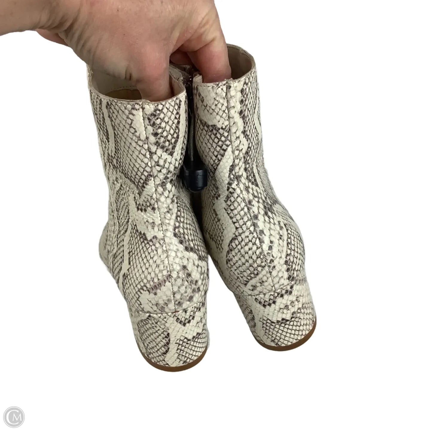 Boots Ankle Heels By Dolce Vita In Snakeskin Print, Size: 7.5