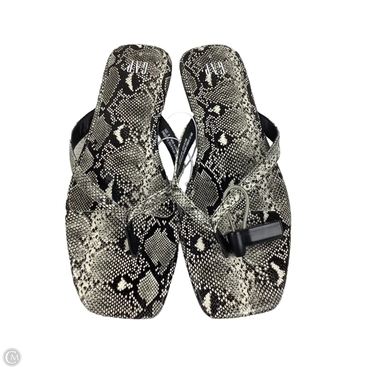 Sandals Flip Flops By Gap In Snakeskin Print, Size: 9