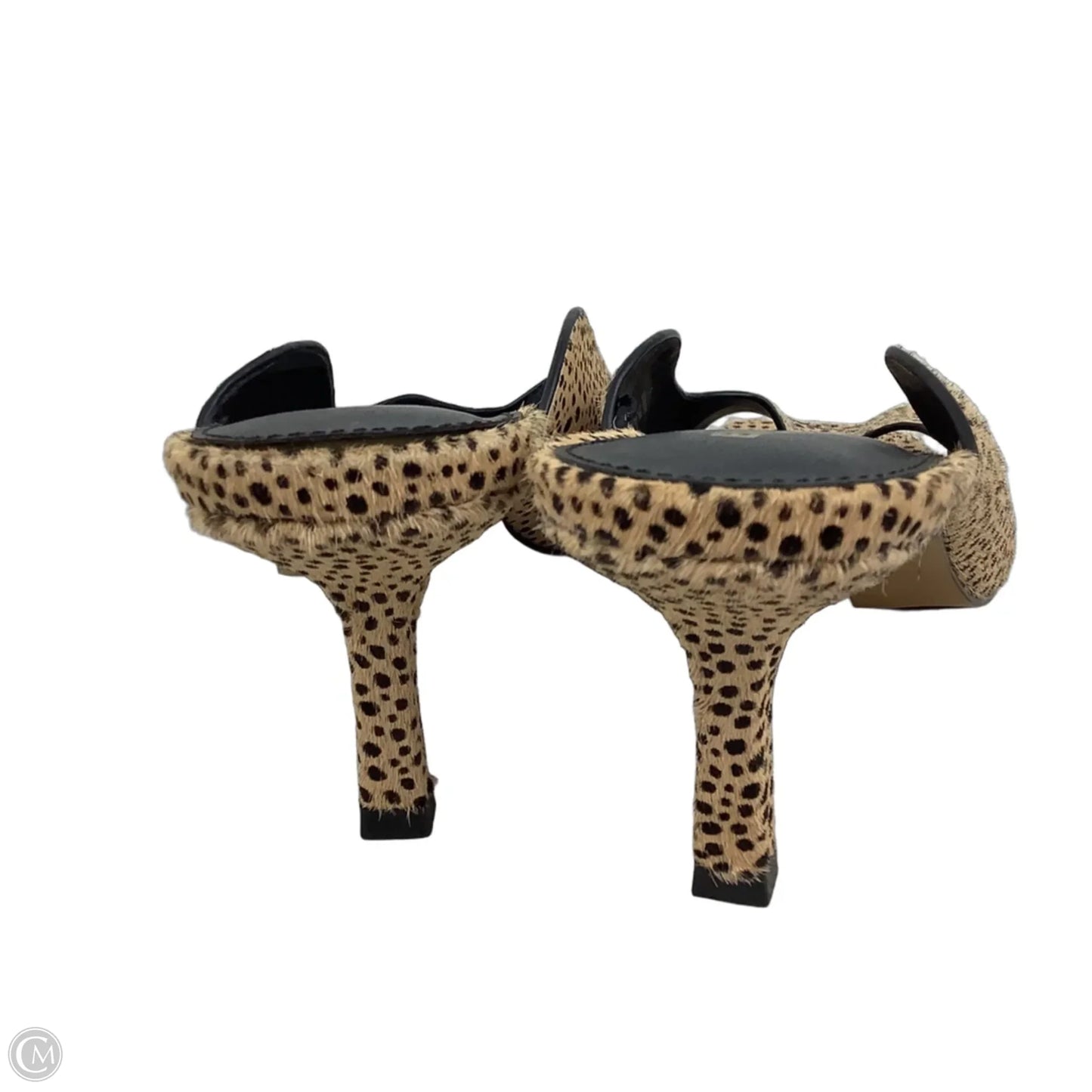 Sandals Heels Kitten By Express In Animal Print, Size: 7
